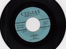 CEE JAY 574- MIKE & THE UTOPIANS- ERLENE/I WISH- RARE BROOKLYN DOO-WOP
