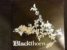 FOLK-BLACKTHORN-PRIVATE PRESS WHM RECORDS LP *SIGNED BY THE BAND*