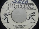 The Fugitives Cantelope Rock / Lecture Rare Reggae 45 mp3