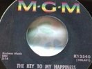 THE CHARADES-KEY TO MY HAPPINESS