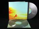 Flaming Lips 