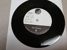 Golden Pelicans TEST PRESSING VINYL 7