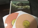 Beyonce - Lemonade RARE COLORED VINYL LP Destiny's Child Jay-Z