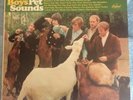 THE BEACH BOYS PET SOUNDS CAPITOL T 2458 MONO RAINBOW INNER SLV GORGEOUS PSYCH