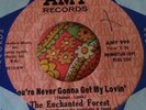 Female Garage Psych Enchanted Forest You're Never Gonna Get GIRLS IN THE GARAGE
