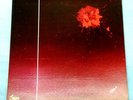 LP  LA PENTOLA DI PAPIN - Zero-7 / Top Audio - Rare Italian Prog