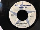 The TWEENAGERS California Clones / Brown Cal Sun 1980 Hollywood Records plays EX