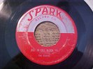 THE ROBINS 45 1954 Riot In Cell Block #9 Wrap It Up 1st Press Spark Doo Wop