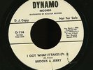 Northern Soul 45 - Brooks & Jerry - I Got What It Takes - Dynamo