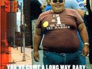 Fatboy Slim - You've Come A Long Way Baby NEW LP