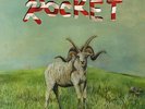 (Sandy) Alex G - Rocket (Gatefold LP+MP3) Vinyl LP Domino Records NEW