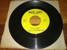 JAMES AND THE JAMES GANG hey girl WHITE CLIFFS 45 RARE MISSISIPI GARAGE HEAR