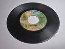 The Doobie Brothers (WB 7728) China Grove / Evil Woman  1973