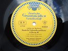 Beethoven Sonata For Violoncello Mainardi / Piano Zecchi   DGG 18353 LPM   Rare