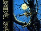 Iron Maiden - Fear Of The Dark 2 LP 180g RI Vinyl