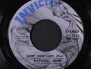 NATURAL HIGH: Bump Your Lady / Part Ii 45 (drum break) Funk