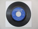 KAREN SMALL TO GET YOU BACK AGAIN 45 VENUS 1066 RARE NORTHERN SOUL MOD