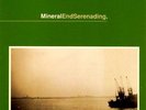 Mineral Endseranading Vinyl 2 LP Sunny Day Real Estate American Football Band