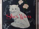 Wilco SIGNED Star Wars vinyl LP autographed by entire band +mp3 new Jeff Tweedy
