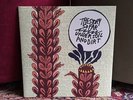 The Story So Far - Under Soil And Dirt (Maroon Vinyl)