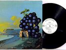MOBY GRAPE ? WOW ? 1968 Columbia WLP promo-only MONO 1C/1C san francisco psych