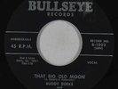 Rockabilly 45 - Buddy Burke - That Big Old Moon - Bullseye - mp3