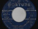 R&B Rocker 45 - George Young - Shakin' Shelley/Buggin' Baby - Fortune rare