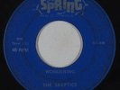 Garage 45 - Skeptics - Wondering - Spring - mp3