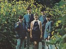 The Rain Park & Other Things The Cowsills XL Sheet Music