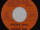 Psych Fuzz Funk 45 - Frozen Sun - Electric Soul - Capt. Zoomar - VG++ mp3 rare