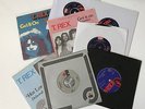 T.REX - 8X 7