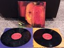 ALICE IN CHAINS JAR OF FLIES SAP 2 LP VINYL ETCHED ORIGINAL 1994 RELEASE