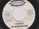 The Interpretations 