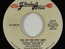 Gloria Walker & the Chevelles 