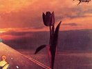 PRETTY THINGS - PARACHUTE - LTD.EDIT. NEW VINYL