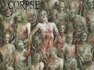 CANNIBAL CORPSE - The Bleeding  LP