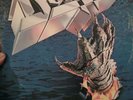 DOKKEN TOOTH AND NAIL ORIGINAL OZ FIRST PRESSING 84 ELEKTRA RELEASE