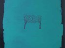 Six Organs Of Admittance - First Album (Vinyl)