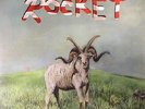 (SANDY) ALEX G - Rocket - Vinyl (gatefold 180 gram vinyl LP + MP3 download code)