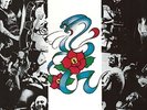 ROSE TATTOO-ROSE TATTOO (OGV) (GER)  VINYL LP NEW