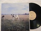 Pink Floyd Screaming Abdabs Dark Side of the Moo LP Near Mint  Trixie CUD-382-A