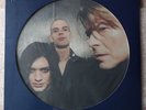 Placebo & David Bowie RSD vinyl Without You I'm Nothing picture disc. not actor
