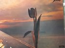 lp record by Pretty Things, Parachute
