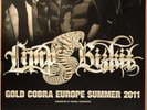 LIMP BIZKIT  2011 OBERHAUSEN - orig.Concert Poster -- Konzert Plakat  A1 NEU