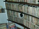 Vinyl ca.6000 Single's, ca.160 Maxi's & ca. 500 LP's (Alben)