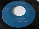 THE DELCOS DETROIT SOUL DOO WOP SHOWCASE LABEL ARABIA B/W THOSE THREE LITTLE