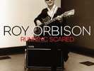Roy Orbison - Running Scared (2LP Gatefold 180g Vinyl) NEW/SEALED
