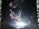 Grateful Dead Live at the Felt Forum 1 out of 1000 picture disc lp
