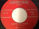 JOE AND ANN-RUNNIN AND FOOLIN/ETERNITY-HERMITAGE 770