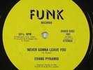 Evans Pyramid - Never Gonna Leave You 12